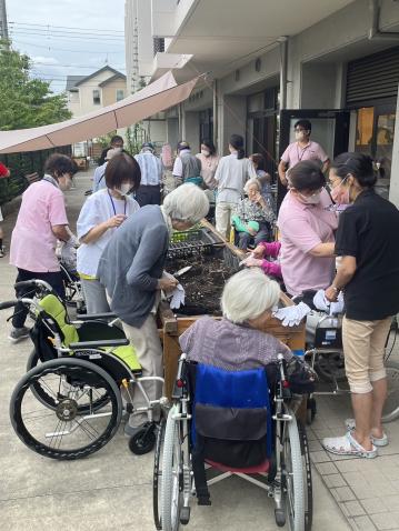 とらいふぁーむでのじゃがいも掘り