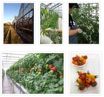 就労継続支援B型事業所 じゃんぷ